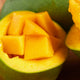 [Fresh Fruit] Avocado Mango (5kg)