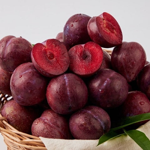[Fresh Fruits] 달콤한 롤리팝 블루베리 자두 (500g)