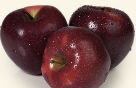 [Fresh Fruit/US] CARAT 사과 (2Kg 13-15과)
