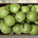 [Fresh Fruit/US] Granny Smith 청사과 (1Kg 7-8과)