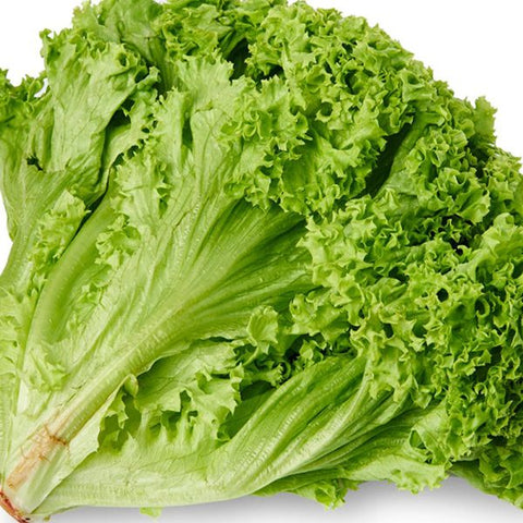 [Organic Farm] Green lettuce (250g)