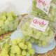 [Fresh Fruit] Stella bella Grape Seedless (1kg)